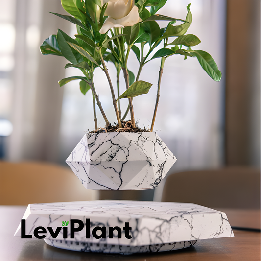 LeviPlant™ - Serene Living Art